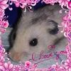 rosies2206